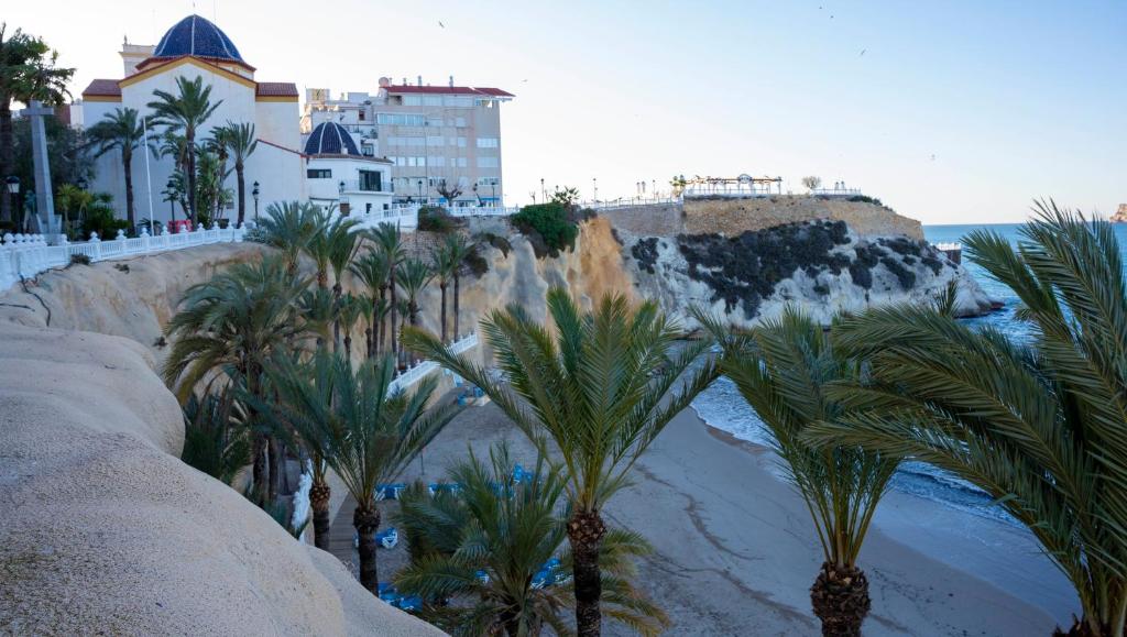 Kép Las Palmeras 15D szállásáról Benidormban a galériában