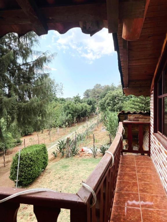 Zahrada ubytování Linda Vista 4