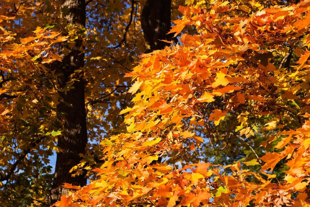 Hesselby Slott - Resim 26