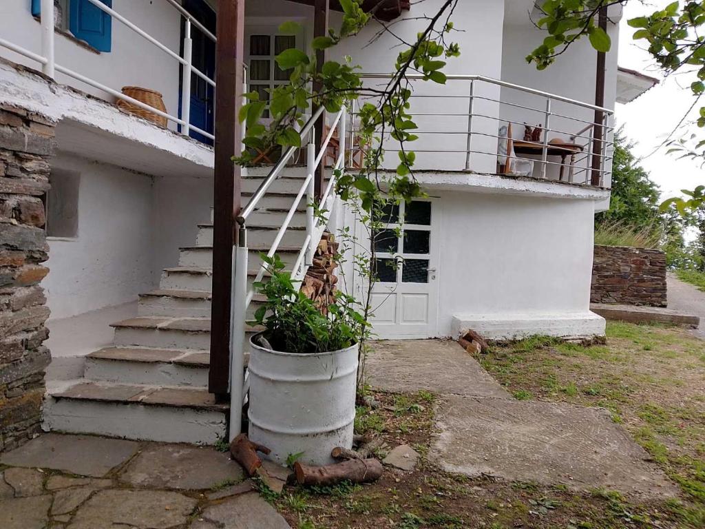 Fotografie z fotogalerie ubytování Mama's home v destinaci Arethousa