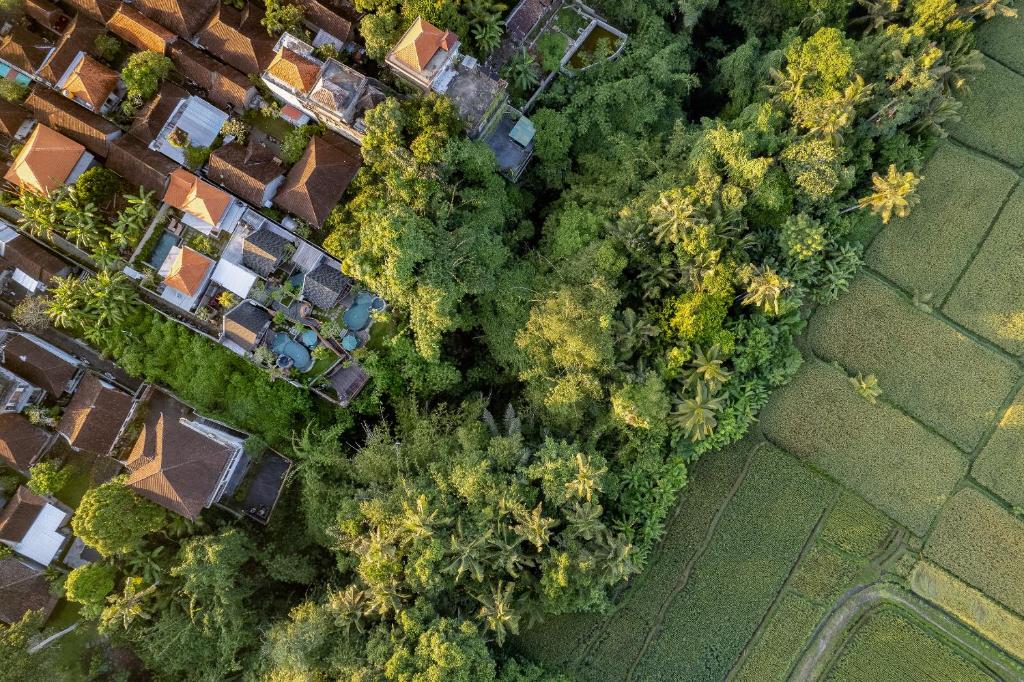 Letecký snímek ubytování Agastya Ubud Villa