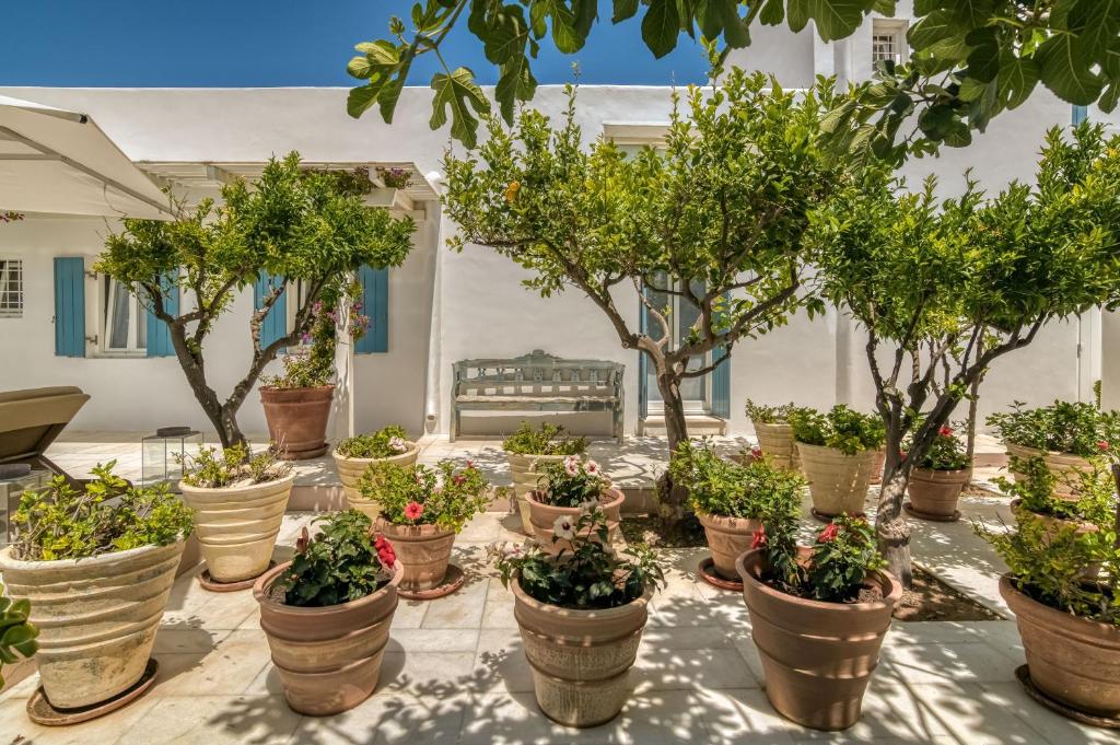 Zahrada ubytování Villa Bellonia