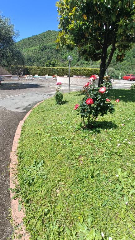 Zdjęcie z galerii obiektu APPARTAMENTO IN RESIDENCE w mieście Deiva Marina