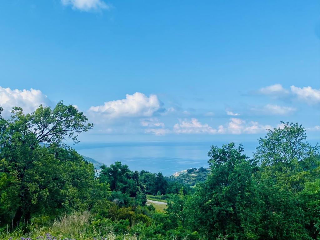 Příroda nedaleko apartmánu