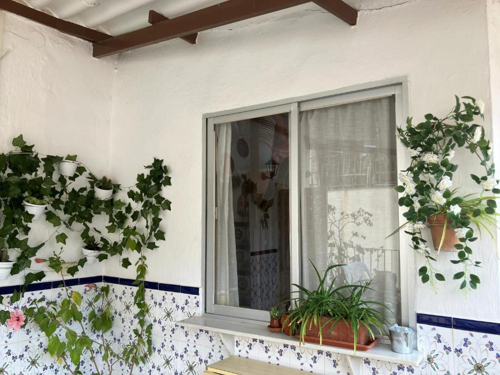 Balkon lub taras w obiekcie Welcoming House in Albuñol with Mountain Views