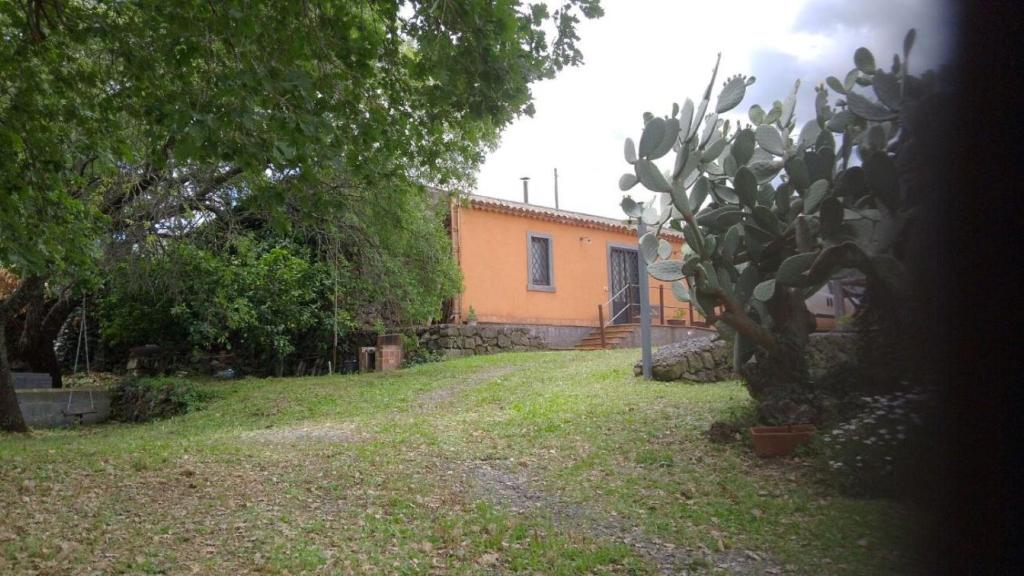 una casa en un patio con un cactus en La casa di Bacco - Etna Country House - Affitto breve, en Castiglione di Sicilia