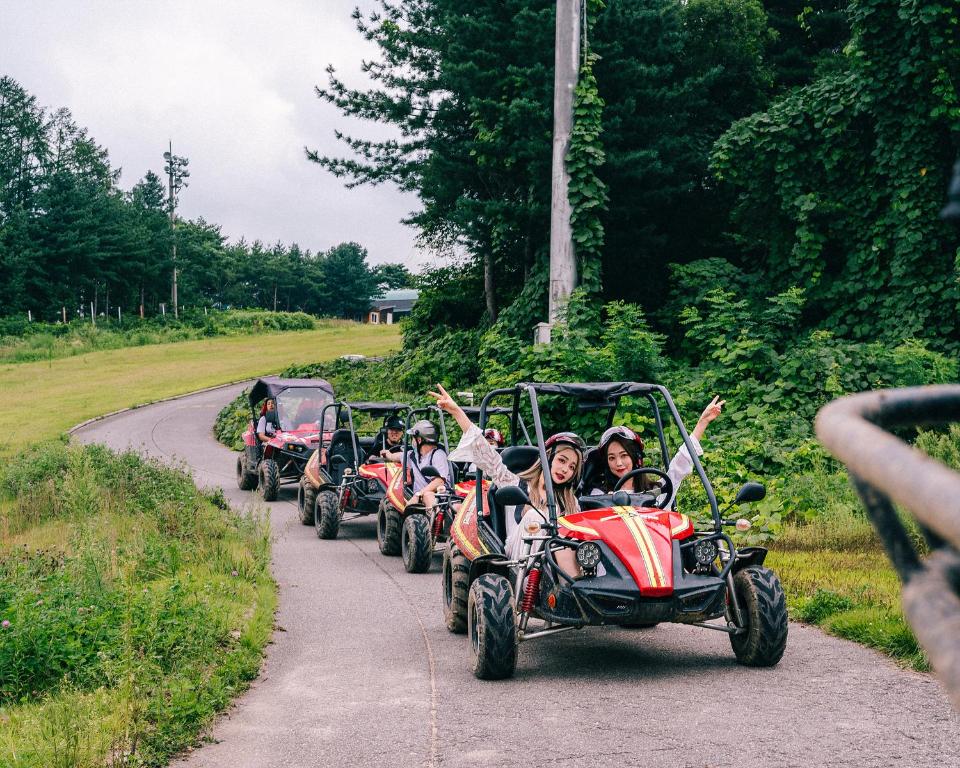 Fotografie z fotogalerie ubytování Wellihilli Park Resort v destinaci Hoengsong