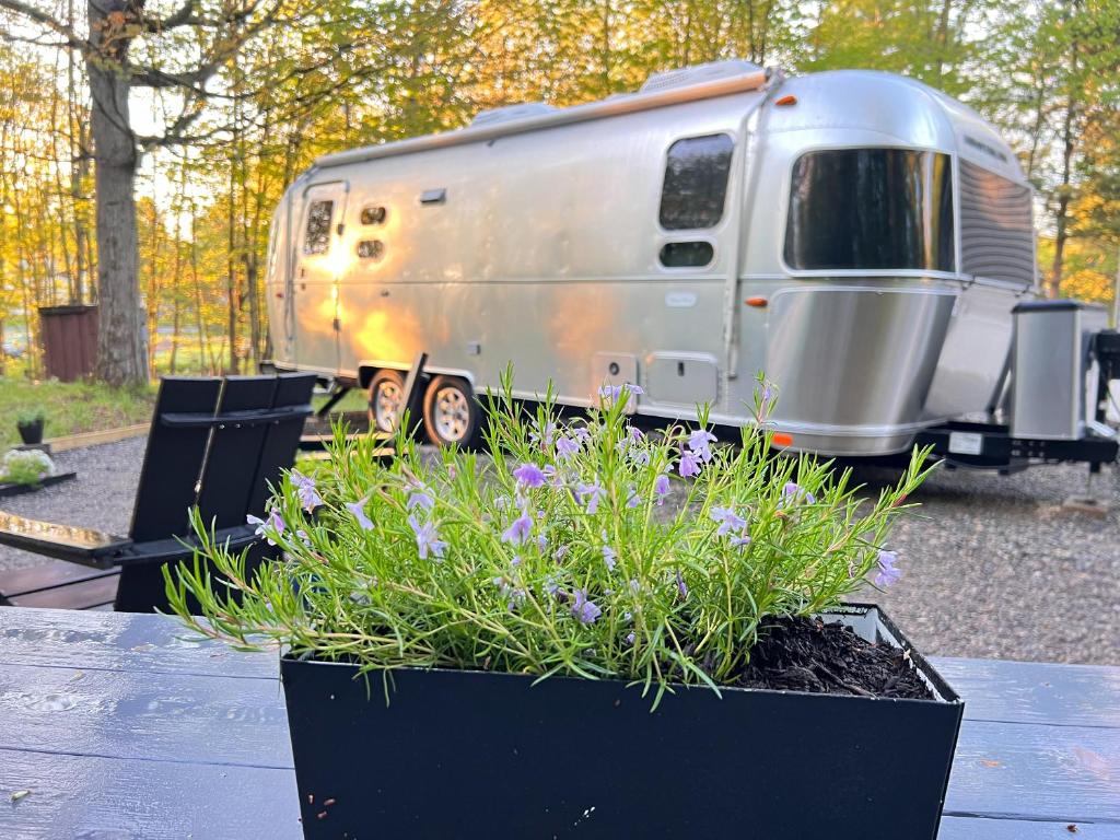 Κήπος έξω από το Glamping Guesthouse - Airstream Experience