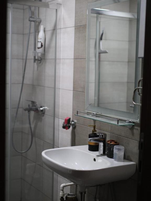 Koupelna v ubytování Apartman Gray 82