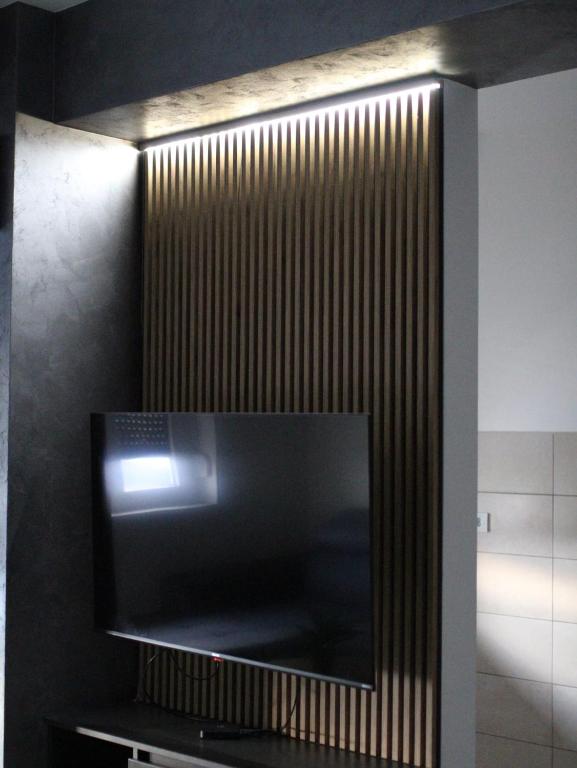 TV a/nebo společenská místnost v ubytování Apartman Gray 82