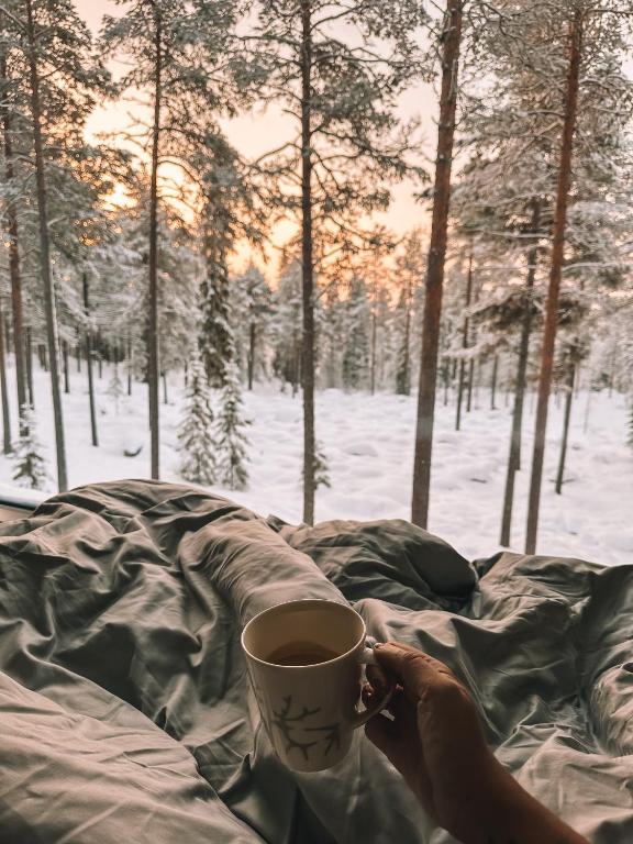 Invisible Forest Lodge Suite with Private Sauna and Hot Tub v zimě