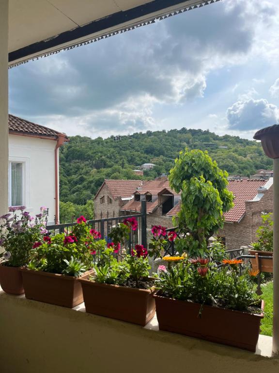 Nespecifikovaný výhled na hory nebo výhled na hory při pohledu z apartmánu