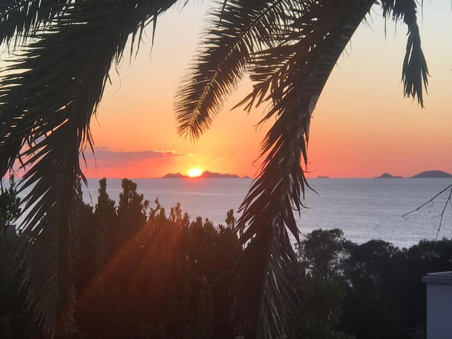 un coucher de soleil sur l'océan avec un palmier dans l'établissement Villa Sampiero, sur mer, piscine et plage à pieds, à Pietrosella