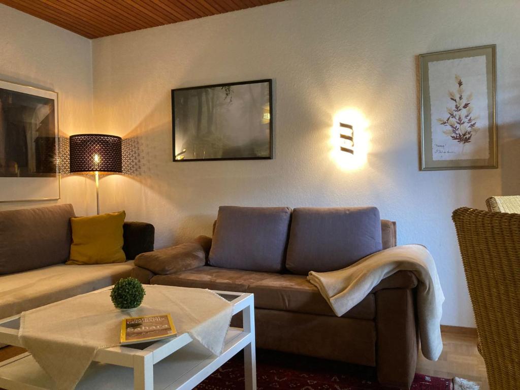 ein Wohnzimmer mit einem Sofa und einem Tisch in der Unterkunft Gemütliche Wohnung Bergblick in Bad Harzburg