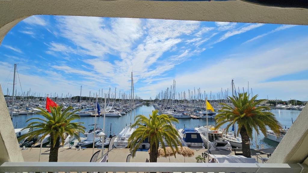 a view of a marina with boats and palm trees at super appartement vue port Camargue- Le Grau Du Roi in Le Grau-du-Roi