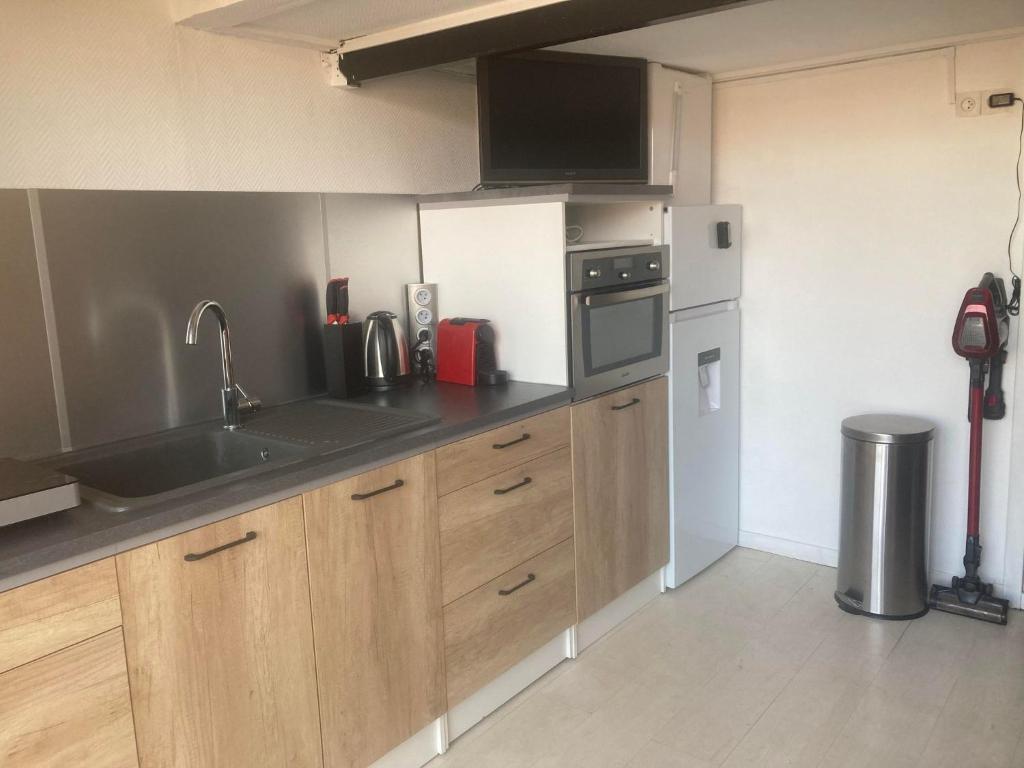 une cuisine avec un évier et un réfrigérateur dans l'établissement Appartement Studio 4 couchages le môle, au Cap d'Agde