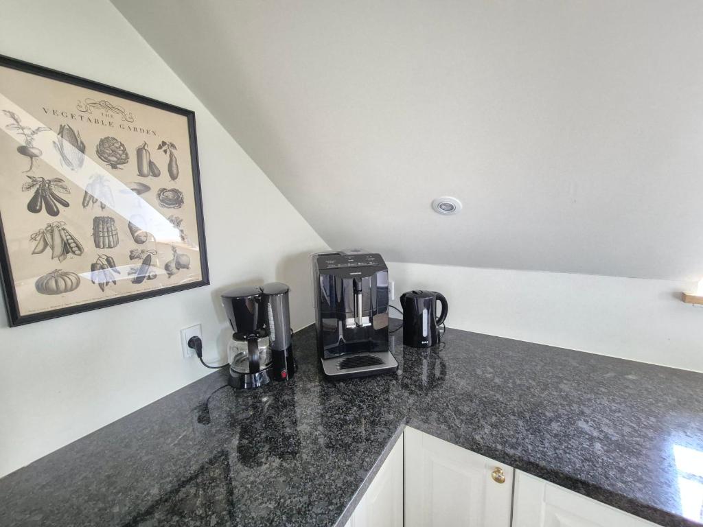 Kuchyň nebo kuchyňský kout v ubytování Apartment in Danmark -Petersminde Exclusive Apartments