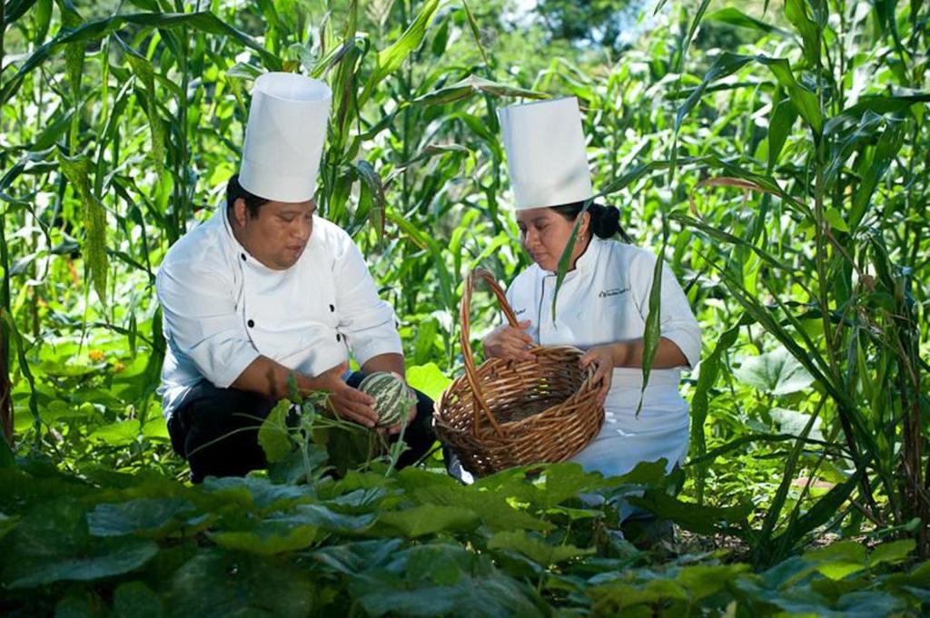Hosté ubytování Hacienda Chichen Resort and Yaxkin Spa