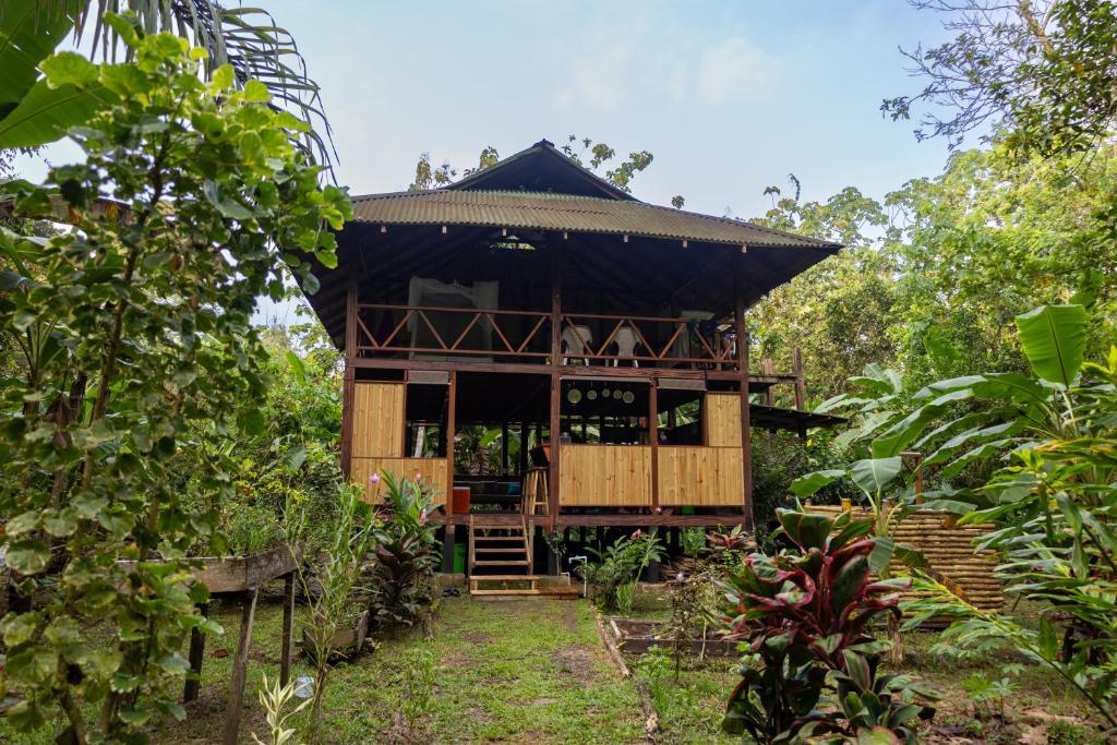 a tree house in the middle of a forest at Casa Prana, Termales, Nuqui in Nuquí