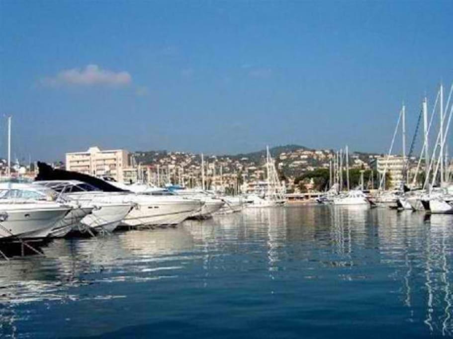 un groupe de bateaux amarrés dans un port dans l'établissement Festival de Cannes Beau 2 p piscine, plage de sable, à Vallauris