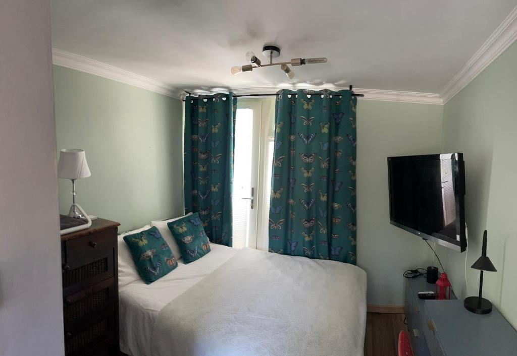 Cette chambre comprend un lit avec des rideaux bleus et une télévision. dans l'établissement Agnieszka Dabrowska, à Teversham