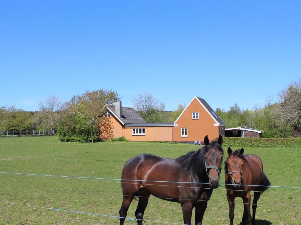 two horses standing in a field behind a fence at Holiday Home Adrienne - 6-4km from the sea in Bornholm by Interhome in Åkirkeby