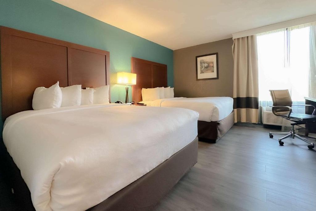 Comfort Inn & Suites Kissimmee by the Parks - 
