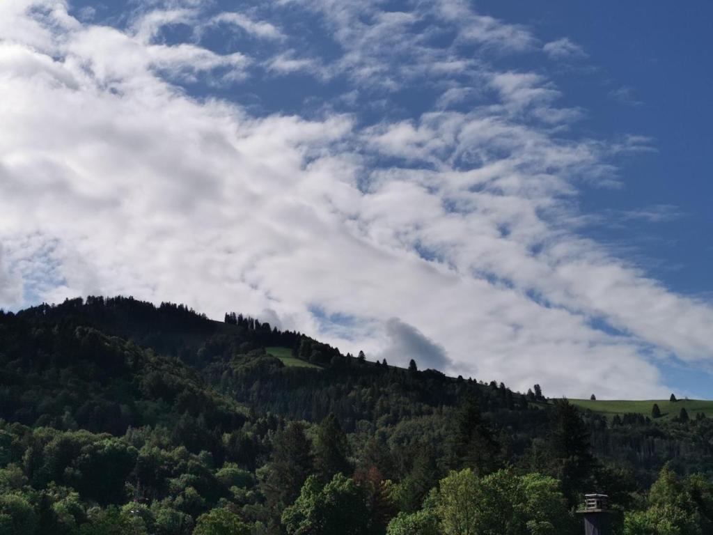 Blick auf einen Berg mit Bäumen und Wolken in der Unterkunft Ferienwohnung Sternenblick in Schönau im Schwarzwald