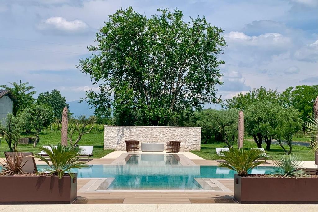 - une piscine dans une cour avec deux plantes en pot dans l'établissement Agriturismo Zapparè Farm Hotel, à Trevignano