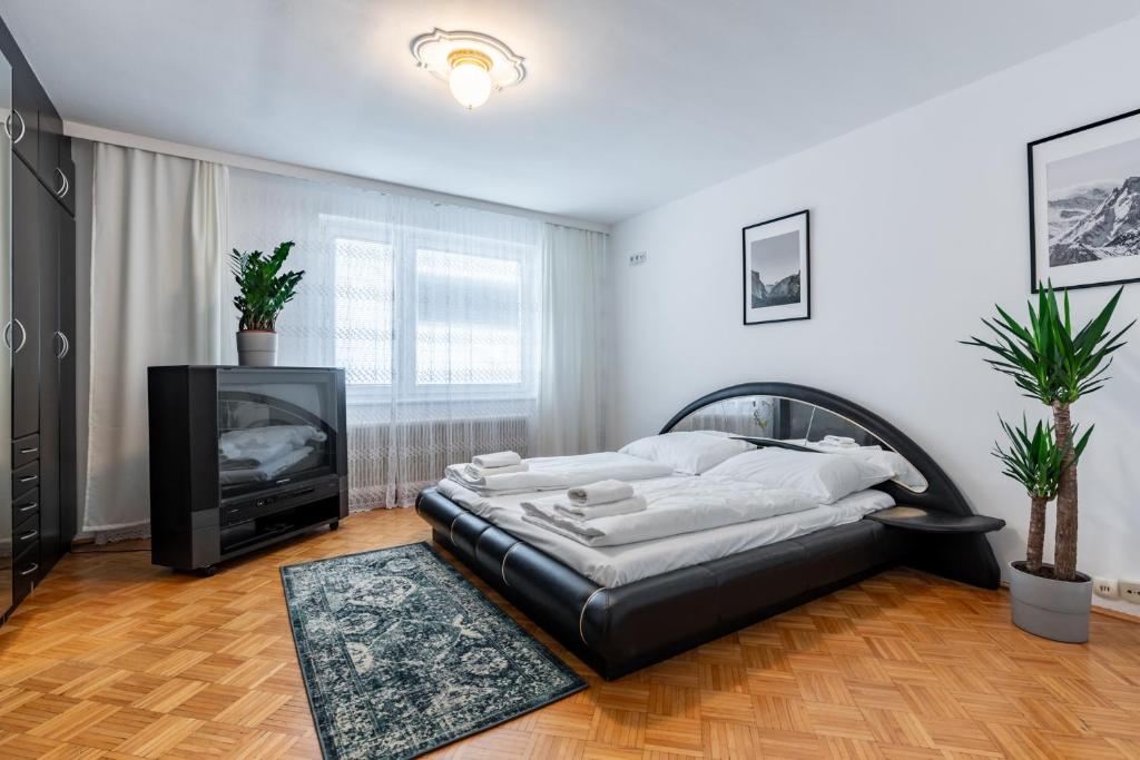 Schlafzimmer mit einem Bett und einem Flachbild-TV in der Unterkunft Retro Apartment in the city center. in Wien