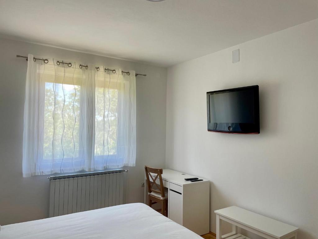 TV a/nebo společenská místnost v ubytování APARTMA BRIN Podgorje