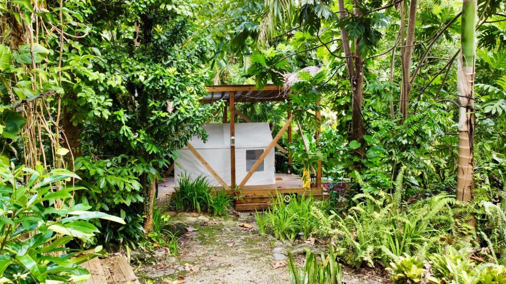 Zahrada ubytování El Yunque Glamping River View at Casa Parcha