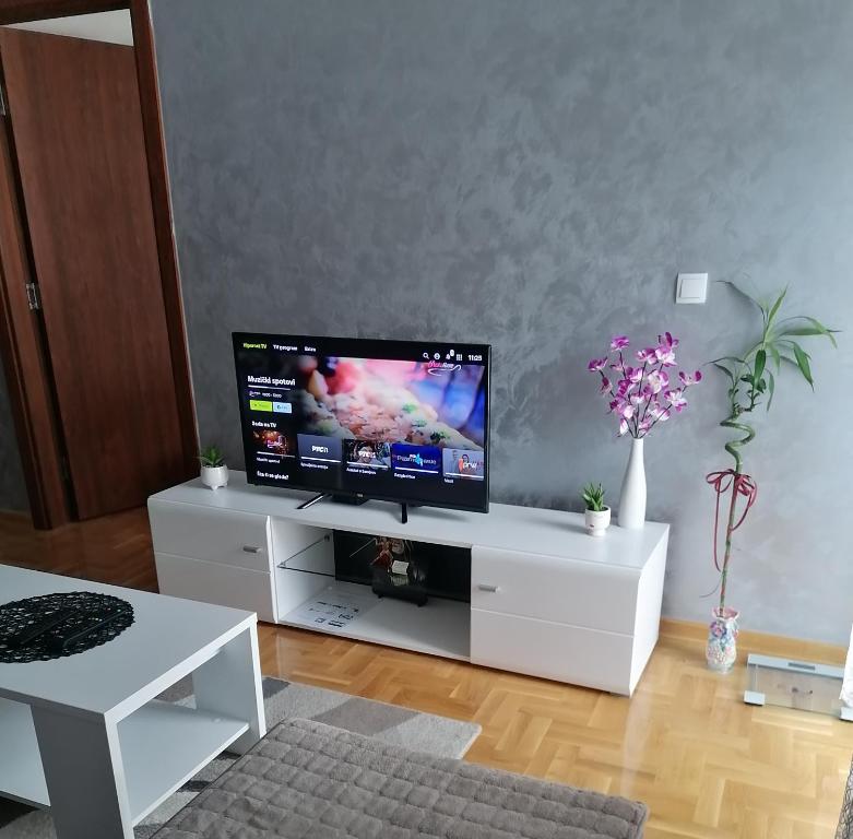 TV a/nebo společenská místnost v ubytování Apartman Zapadni Kej Pirot