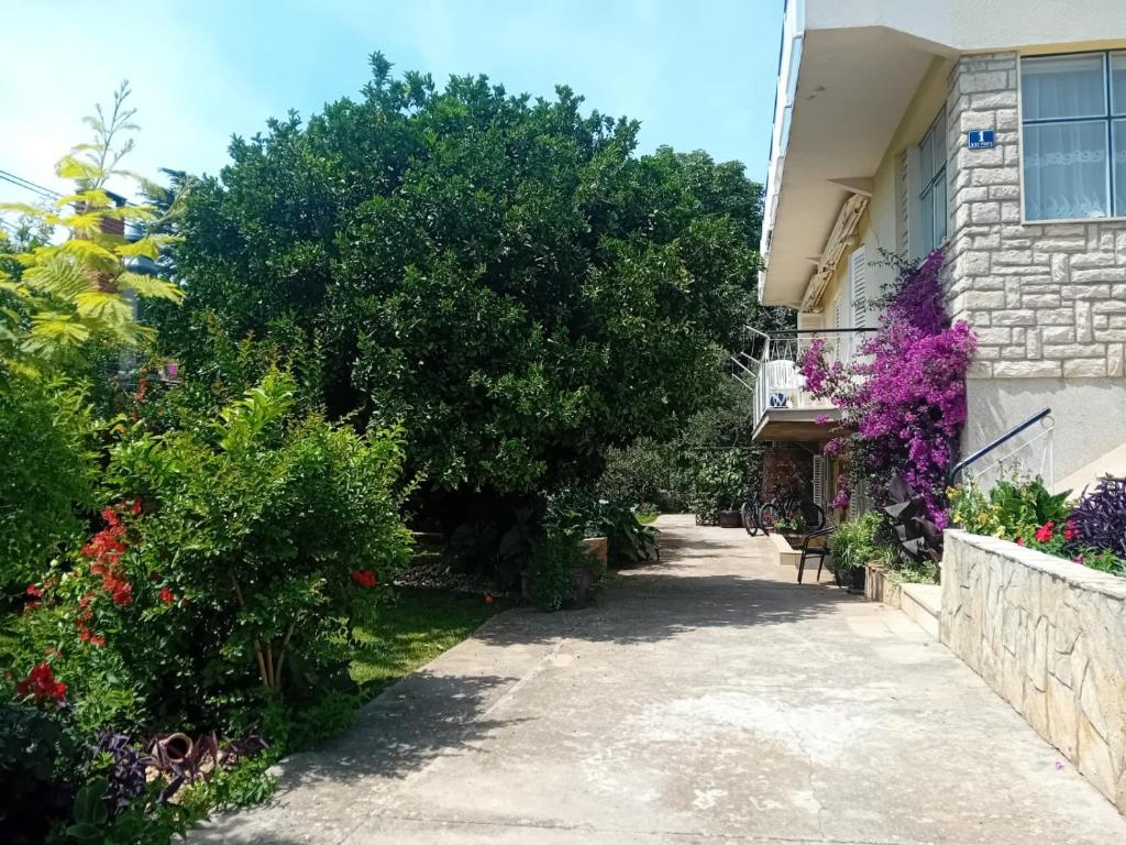 Apartments Angie - 16