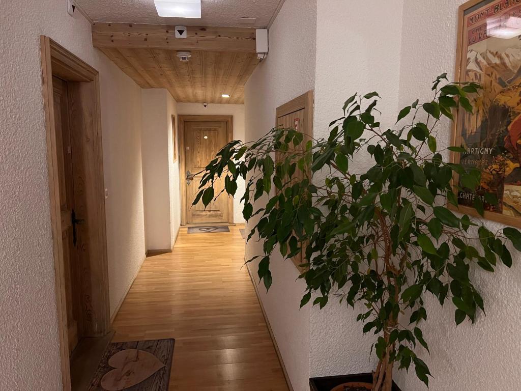 a hallway with a potted plant in the middle of it at Hôtel Magrappé in Veysonnaz
