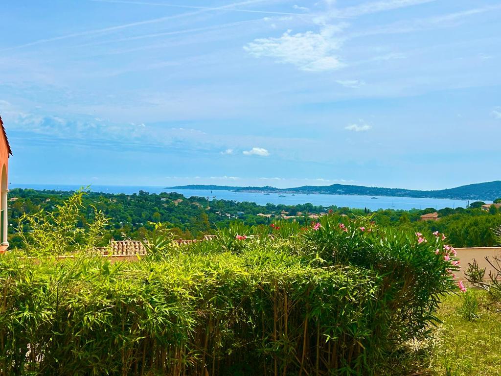 - une vue sur un champ d'herbe et de fleurs dans l'établissement Les Restanques vue mer Roses 1070 rez de jardin, à Grimaud