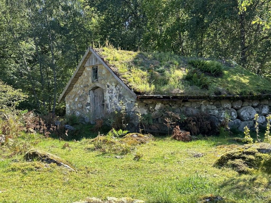 Příroda nedaleko prázdninového domu