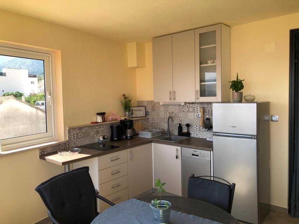 Kuchyňa alebo kuchynka v ubytovaní Apartments Panda