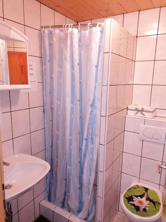 e bagno con doccia, servizi igienici e lavandino. di Stoderhütte ad Aich