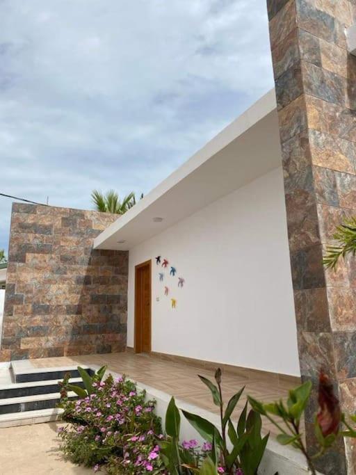 Zahrada ubytování Villa Papaya - Djerba
