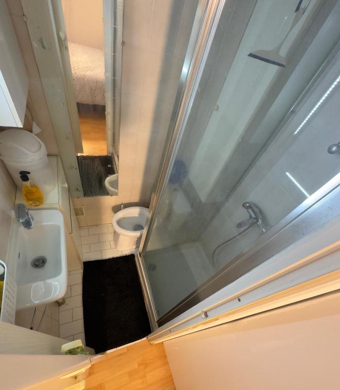 une petite salle de bain avec douche et toilettes dans l'établissement Studio one bedroom flat and leaving room, à Clichy