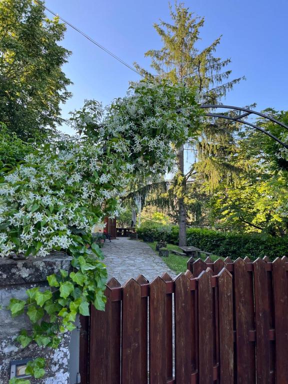Zahrada ubytování Casa Lastri