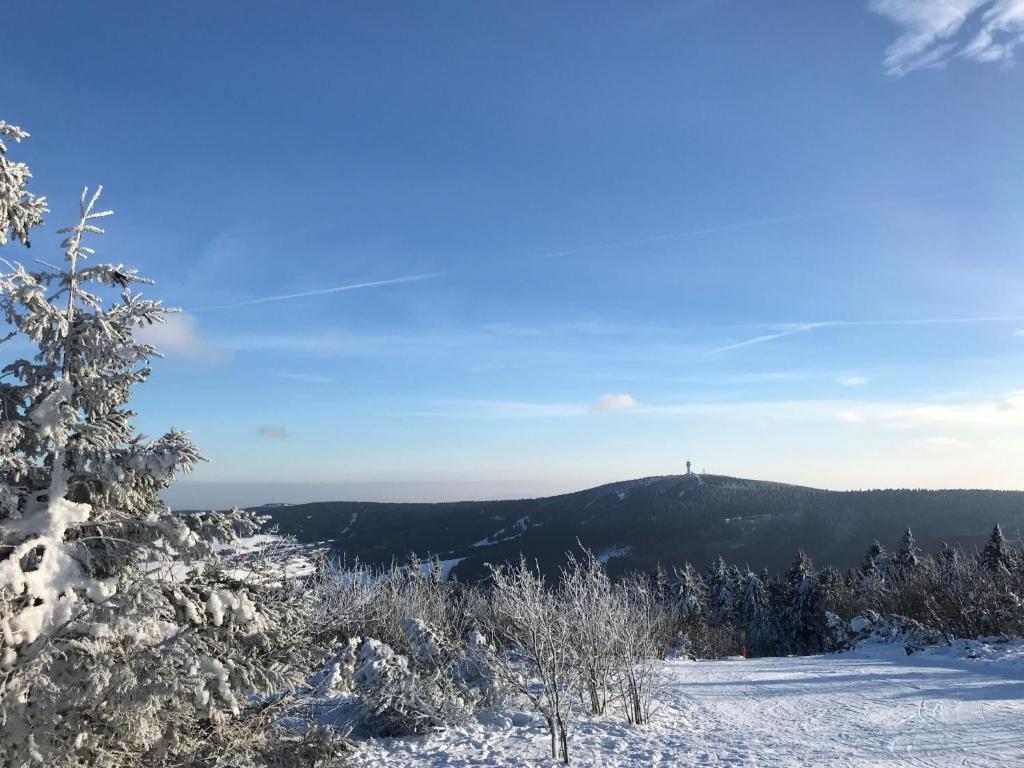 Příroda nedaleko apartmánu