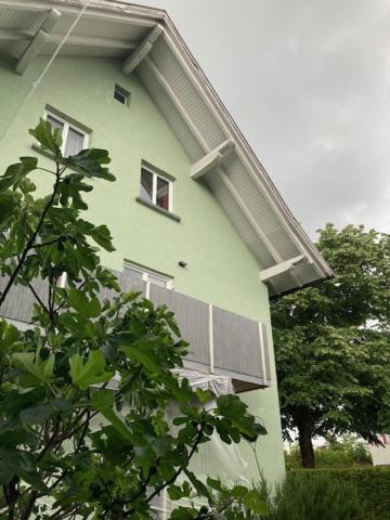 a green building with two windows and a tree at Appartement Jäger in Bregenz
