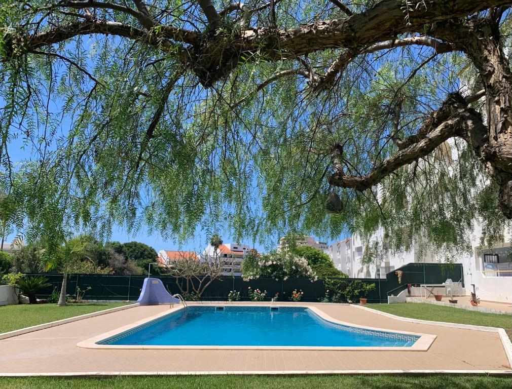 una piscina en un parque bajo un árbol en CLY-23 Andalucia By Calyferias, en Albufeira