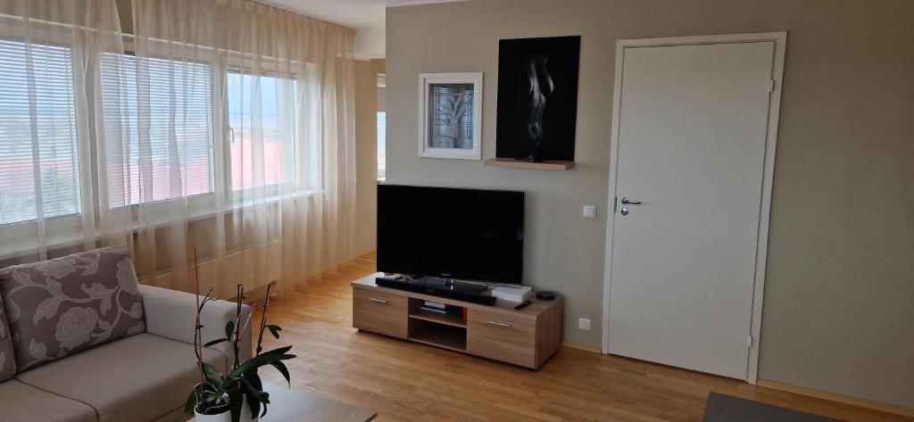 un soggiorno con divano e TV a schermo piatto di Posti tn. 41 a Haapsalu