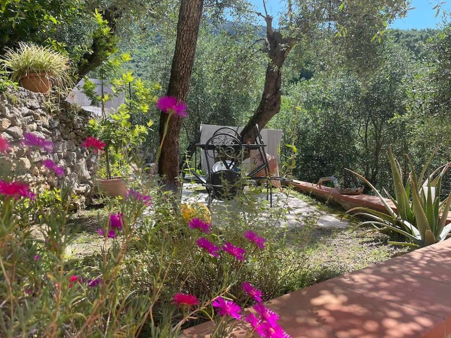 Un jardín con flores moradas y una mesa y árboles. en Casa Marina, en Tellaro