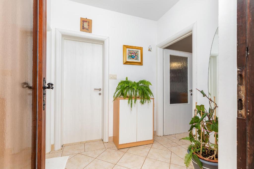 Fotografie z fotogalerie ubytování Apartment Milena v destinaci Pula