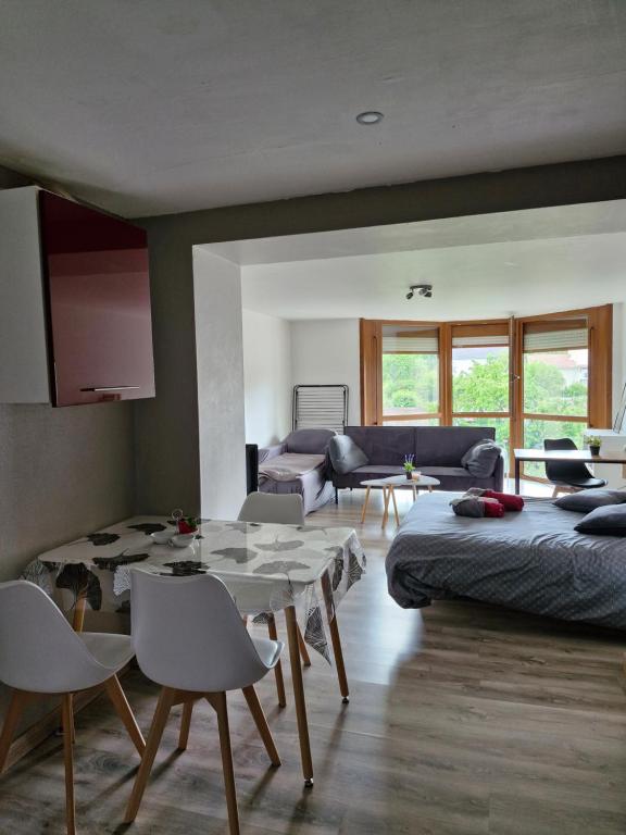 Una sala de estar con una cama, una mesa y sillas. en Joli studio une pièce 15min à pied centre dEpinal 4 personnes grâce au canapé lit, parking privé gratuit et parking extérieur gratuit Machine à laver TV wifi machine à café linge de lit et serviettes fournis, en Chantraine