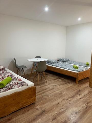 Postel nebo postele na pokoji v ubytování TARNICA